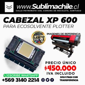 Cabezal XP 600 - Plotter Eco solvente
